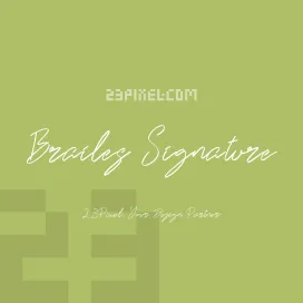 Brailes Signature